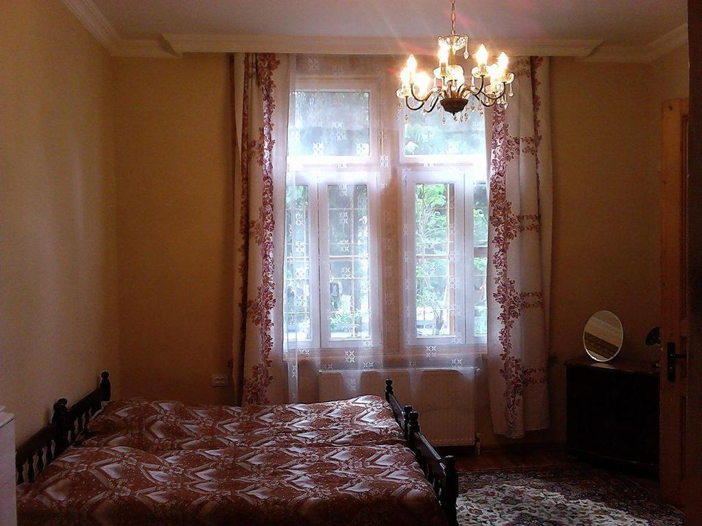 ホテル Old House Rustaveli ボルジョミ エクステリア 写真