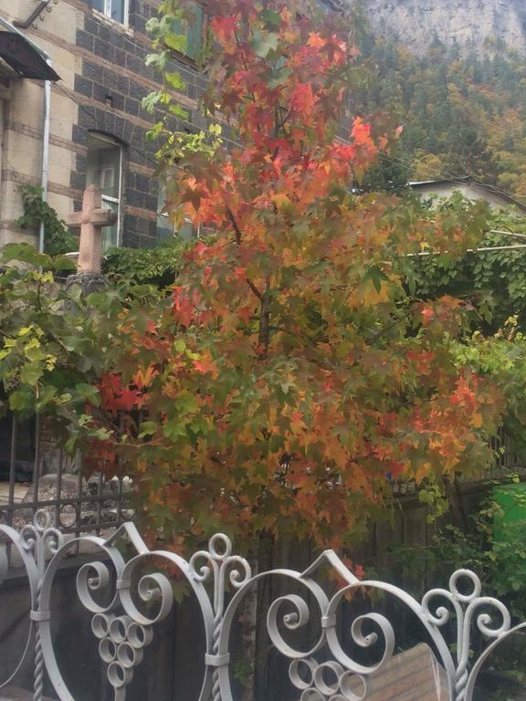 ホテル Old House Rustaveli ボルジョミ エクステリア 写真